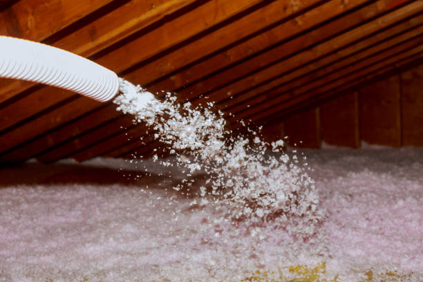 Insulation Contractors for Homes in Olympia, SC