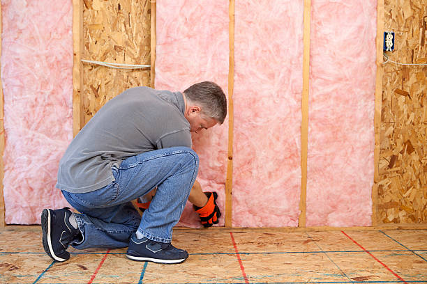 Best Attic Insulation Installation  in Olympia, SC
