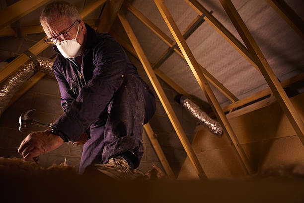Best Insulation Installation Cost  in Olympia, SC